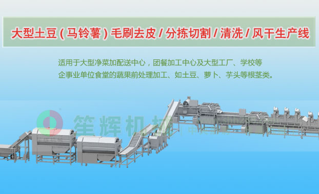 奎文连续式土豆去皮清洗切割风干生产线